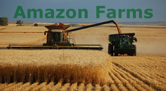 Amazon Farms