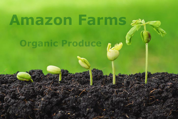 Amazon Farms